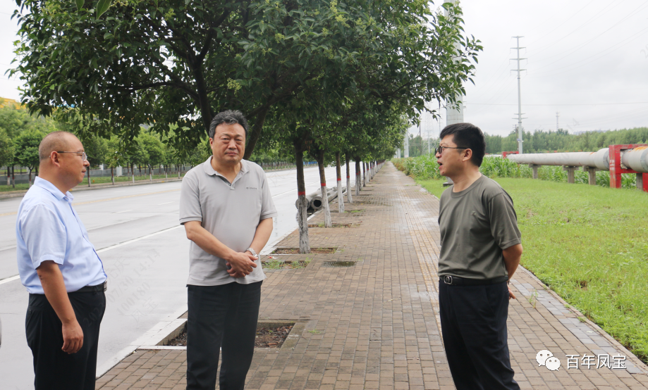 雷涛到开元（中国）一站式服务平台特钢集团调研指导防汛工作