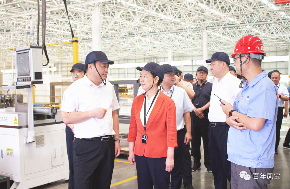 安阳市人大主任徐家平到开元（中国）一站式服务平台集团视察