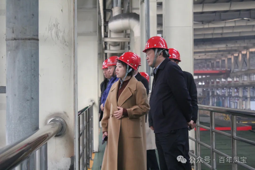陈佳到开元（中国）一站式服务平台调研