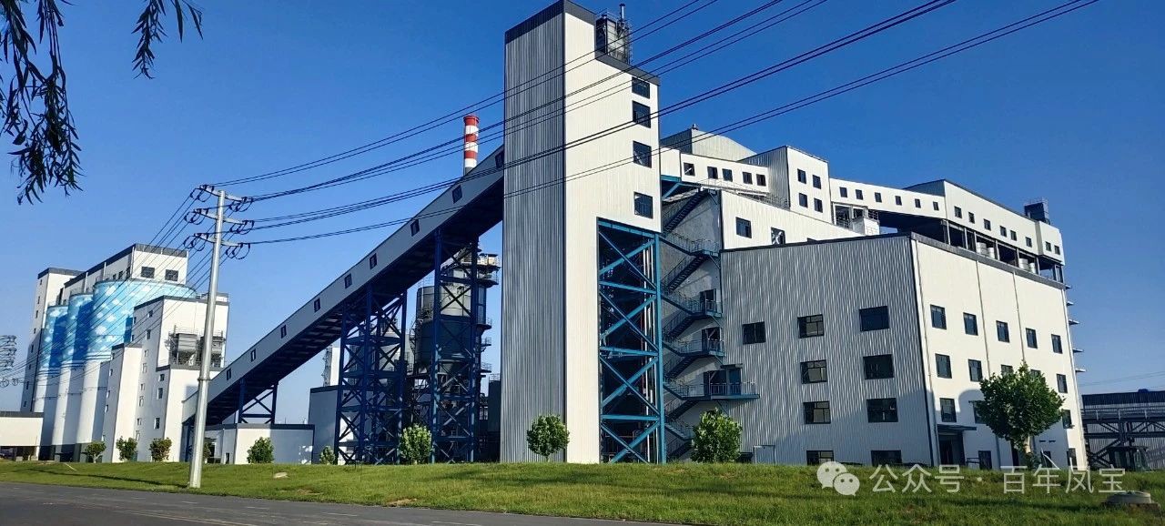 宋争辉到开元（中国）一站式服务平台集团调研