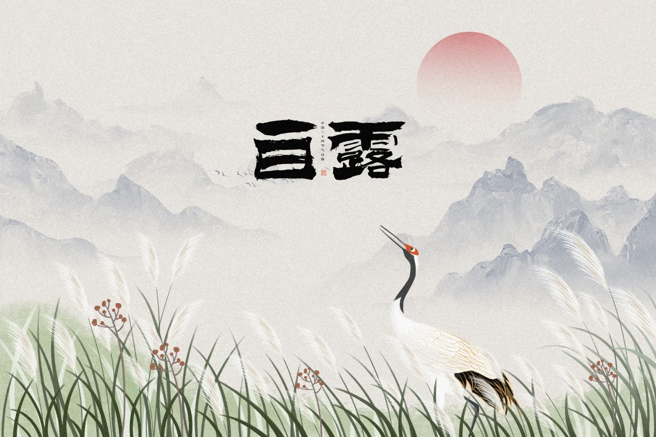 二十四节气｜白露