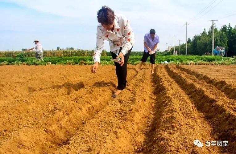 033333.jpg 033333.jpg